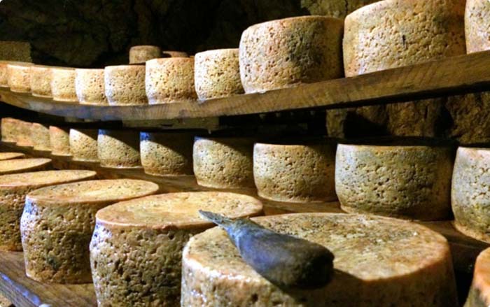 elaboración del queso de cabrales en asturias