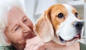 Perros para personas mayores. Mejores razas de perros
